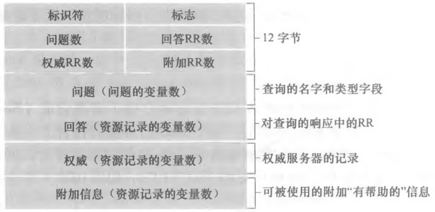 DNS 报文